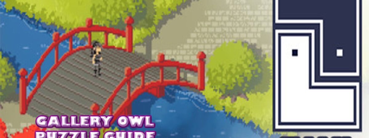gallery-owl-puzzle-guide-taiji